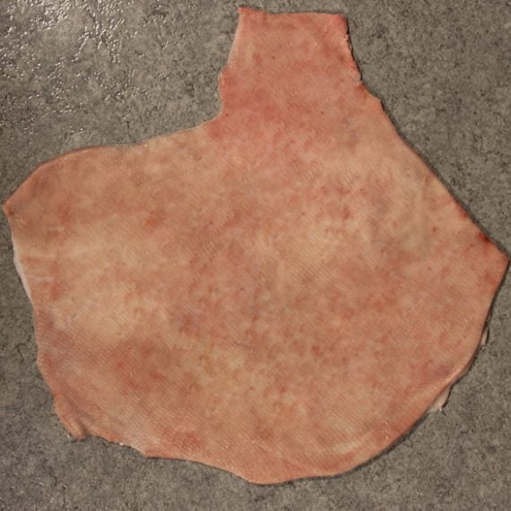 Pork Ham skin